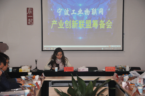 寧波市工業(yè)物聯(lián)網(wǎng)產(chǎn)業(yè)創(chuàng)新聯(lián)盟籌備會(huì)順利召開(kāi)